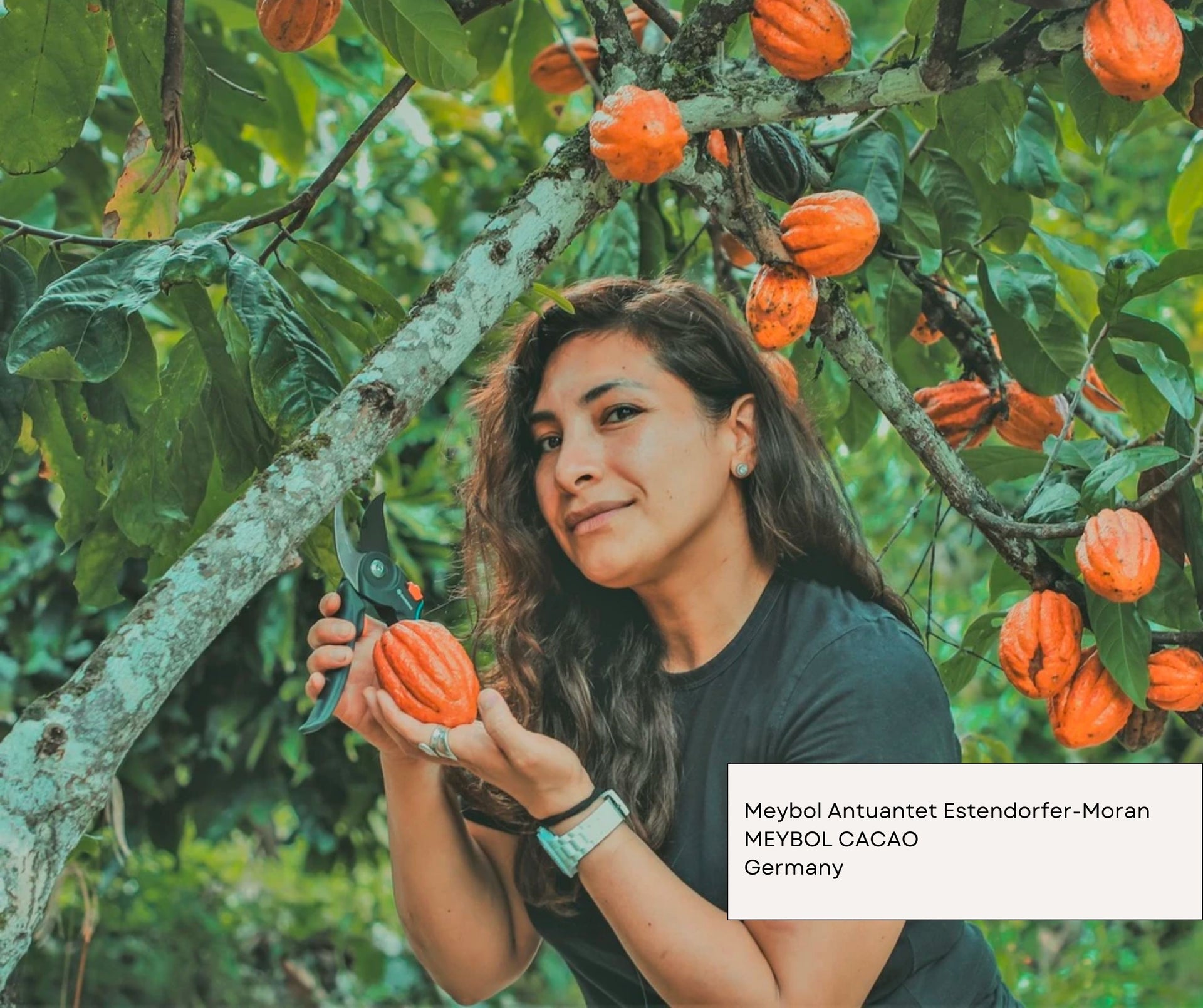 Best European Chocolate 2023 - Meybol Cacao