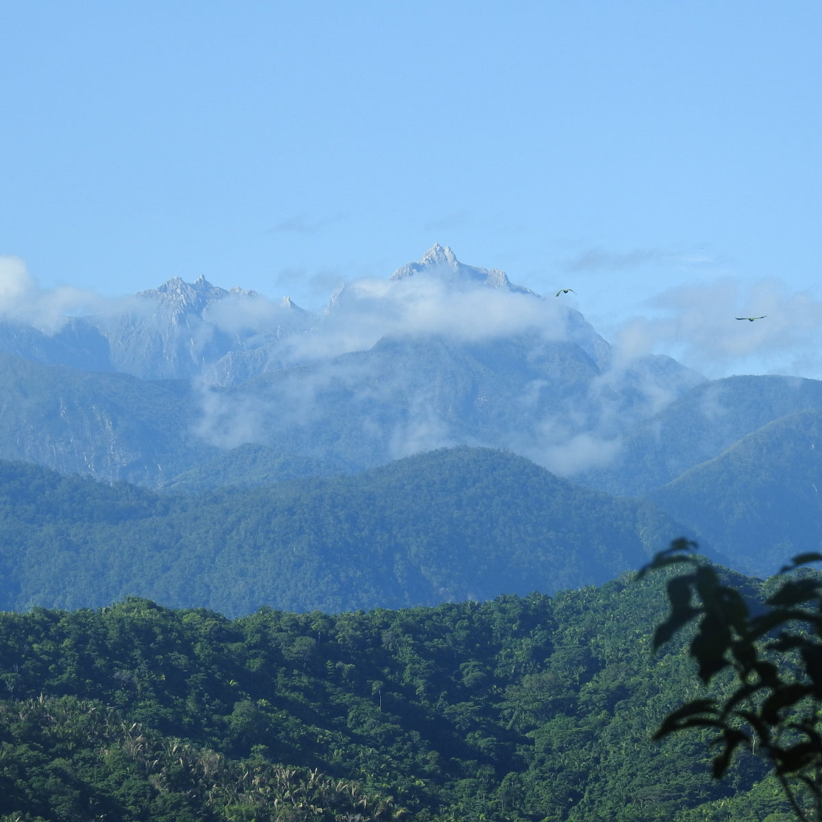 Dark Chocolate - Sierra Sagrada | Hello Chocolate Singapore