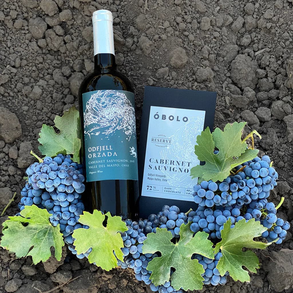 OBOLO - Cabernet Sauvignon 72% - Limited Edition