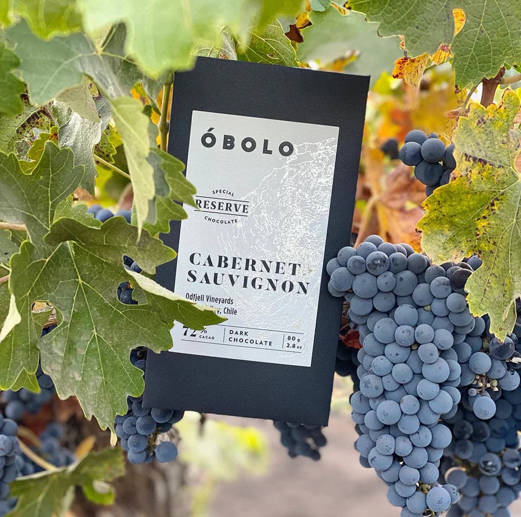 OBOLO - Cabernet Sauvignon 72% - Limited Edition
