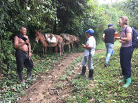 What is the Best Chocolate in the World | Goodnow Farms - Boyaca, Colombia 73%