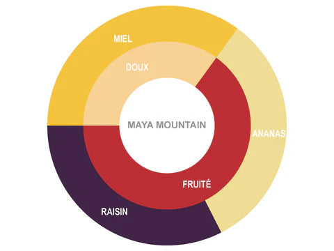 Couverture Chocolate - Chaleur B Chocolat - Maya Mountain 70%